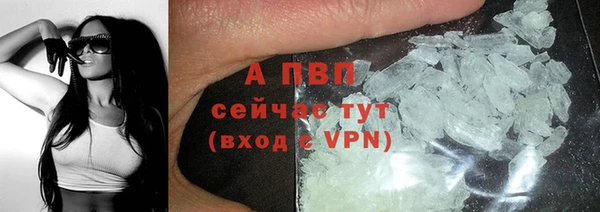 гидра Абаза