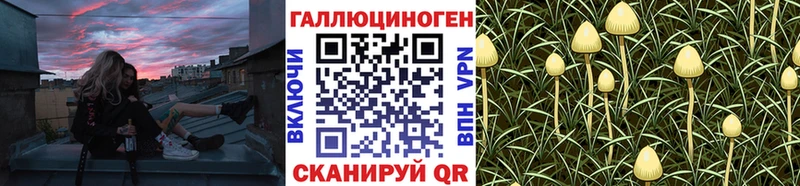 Галлюциногенные грибы мицелий  Исилькуль 